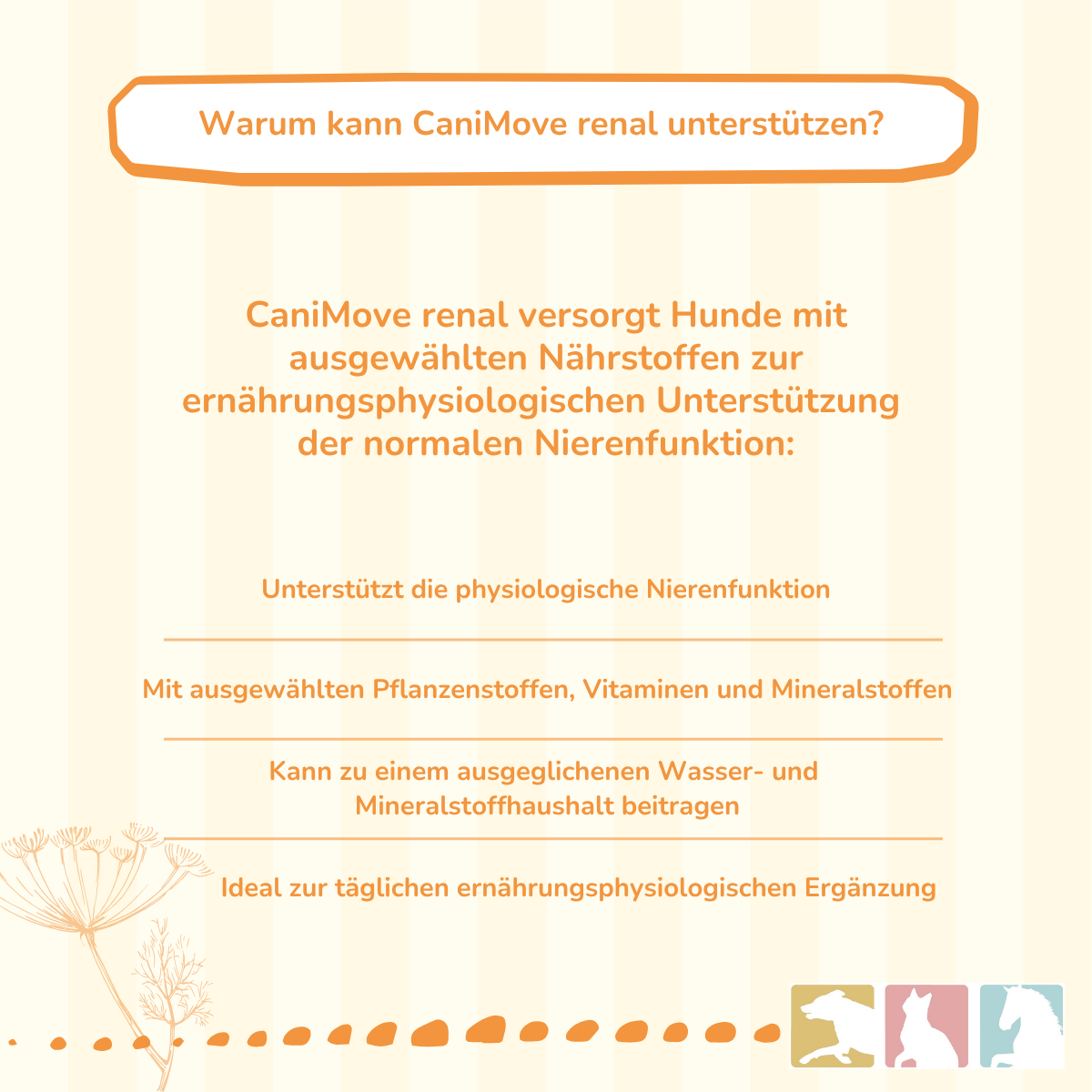 CaniMove renal