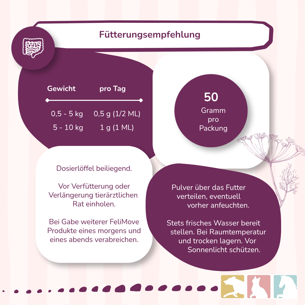 FeliMove digest