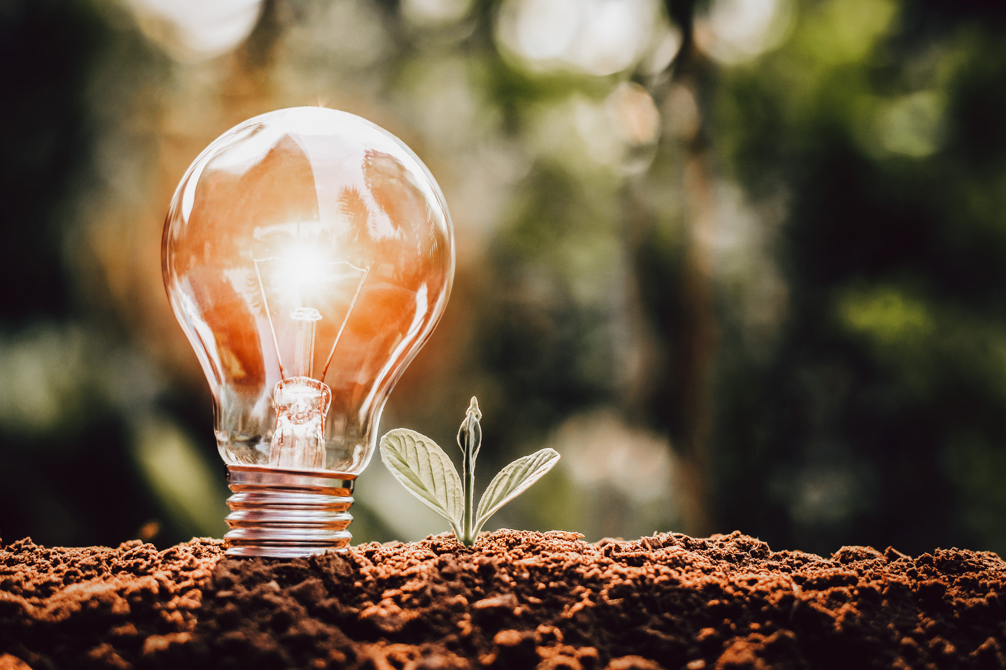 Akute Dickdarmdurchfälle