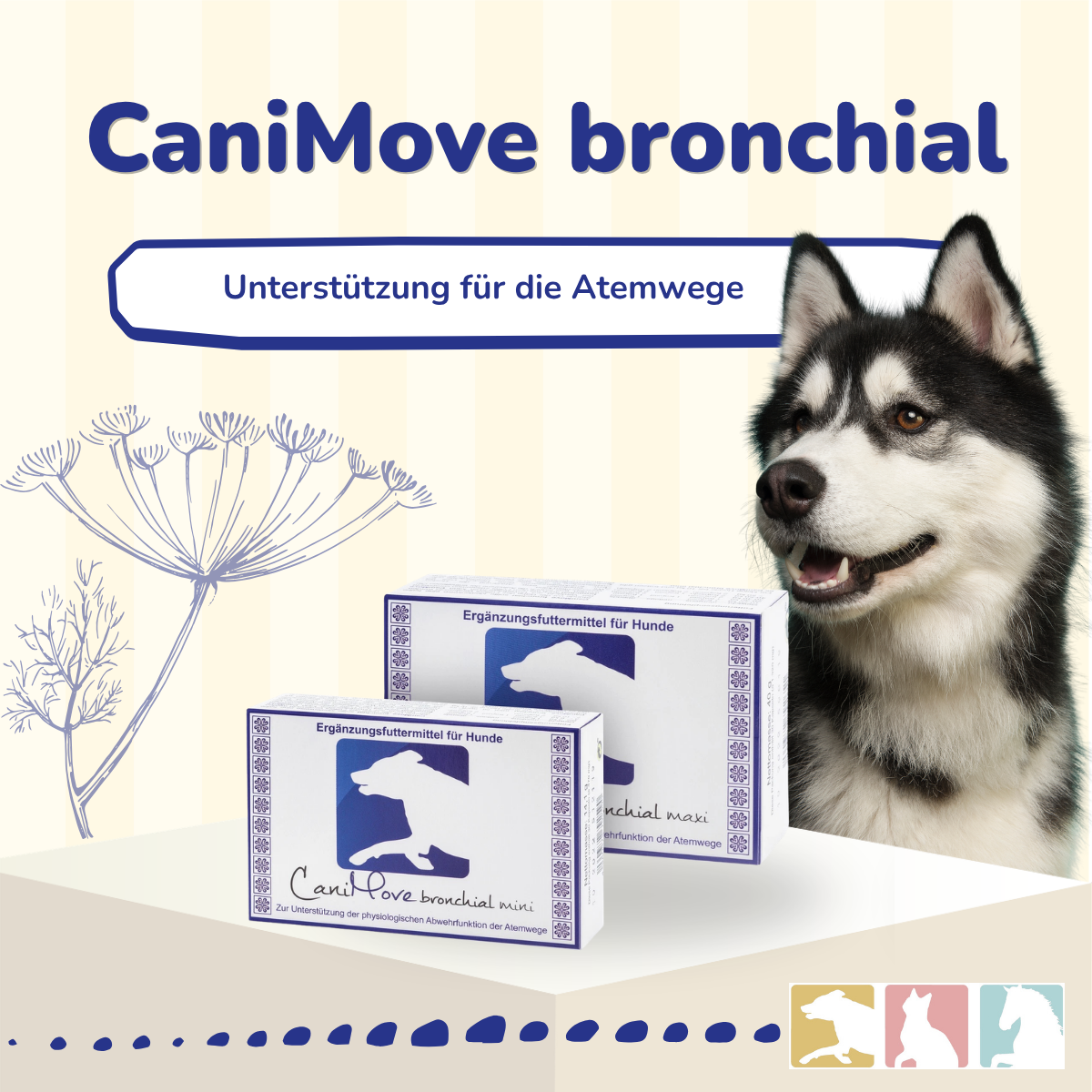 CaniMove bronchial