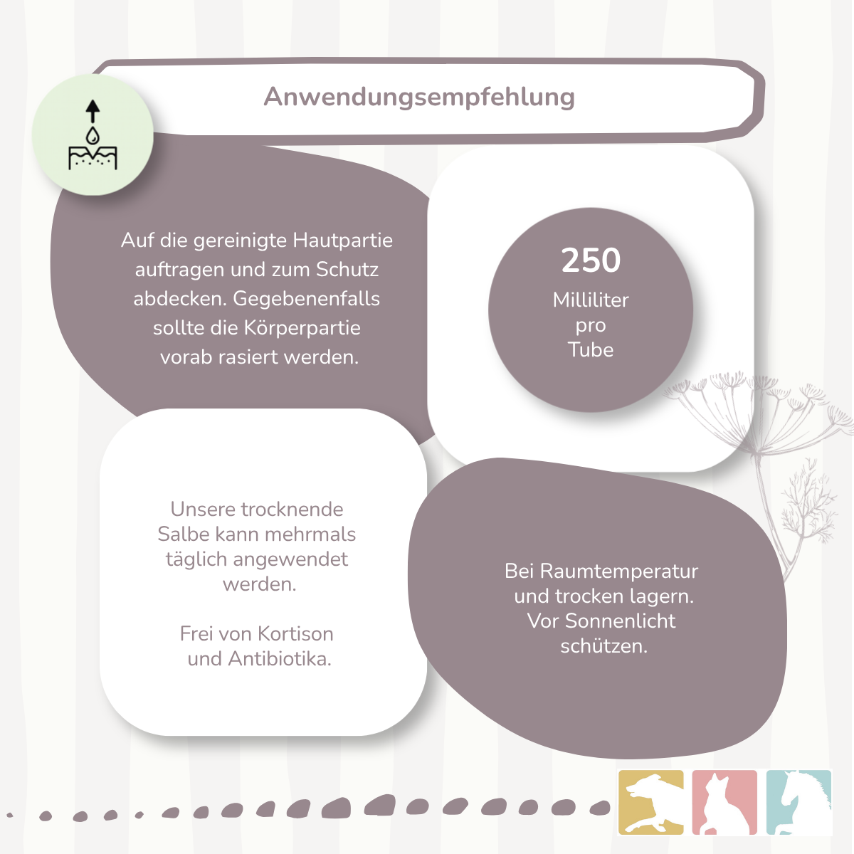 Wundschutz Salbe (trocknend)