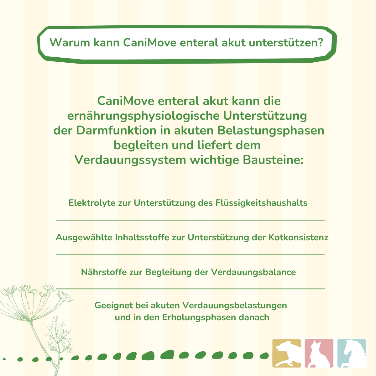 CaniMove enteral akut