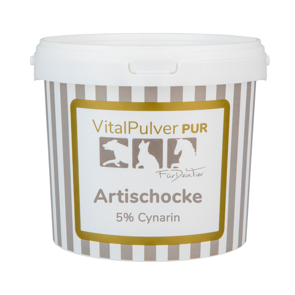 Artischocke (konz.)
