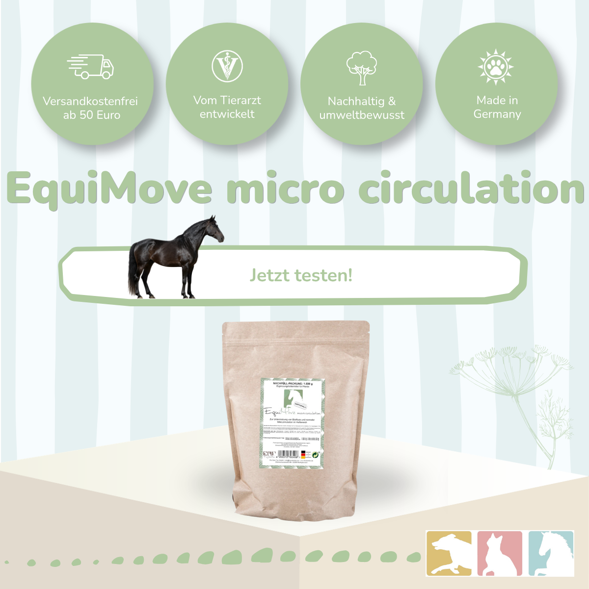 EquiMove micro circulation