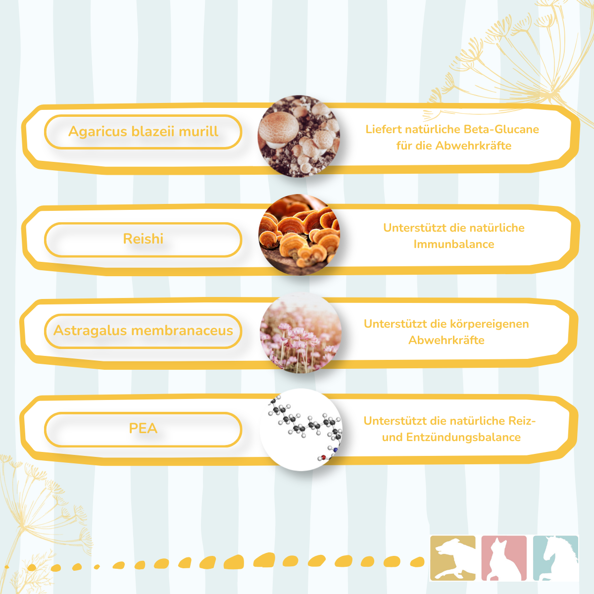 EquiMove immune