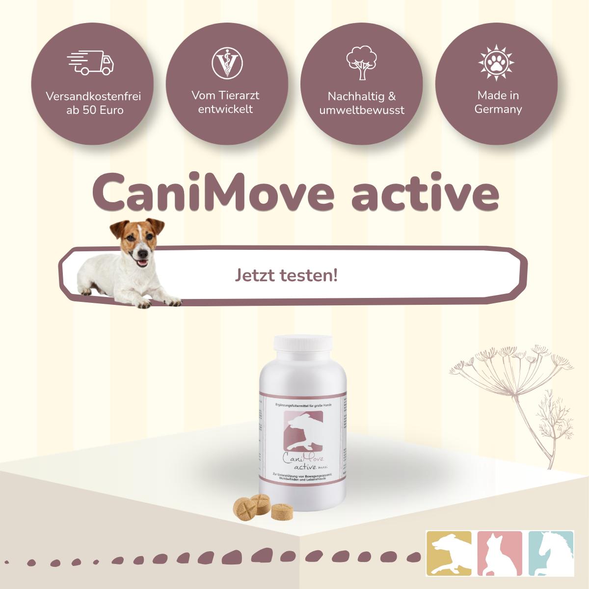 CaniMove active
