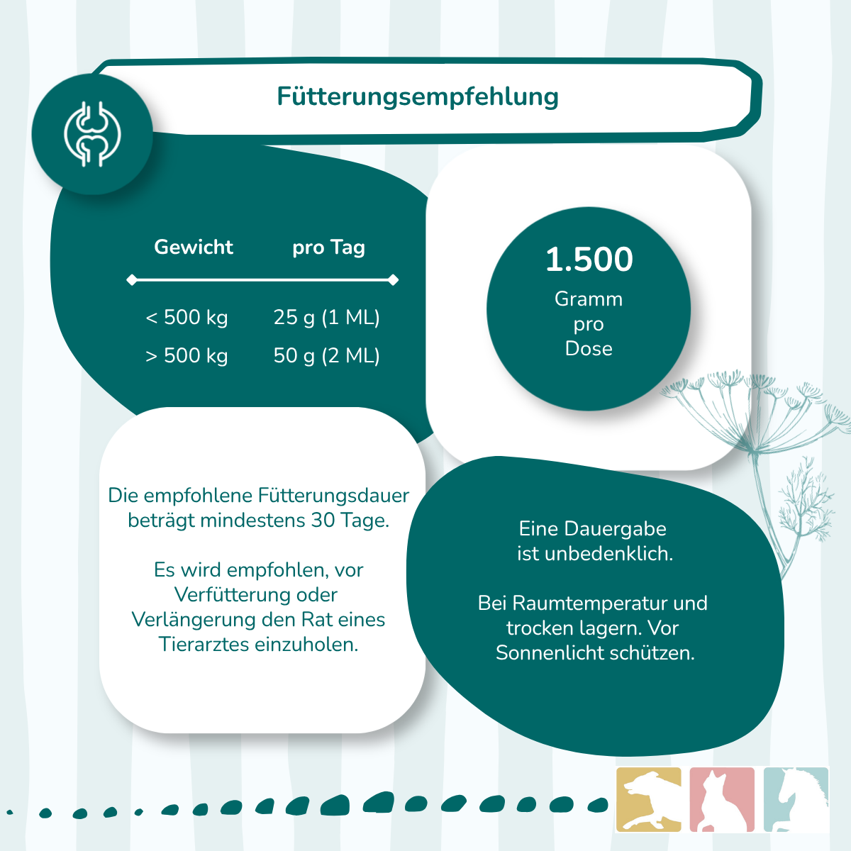 EquiMove motion