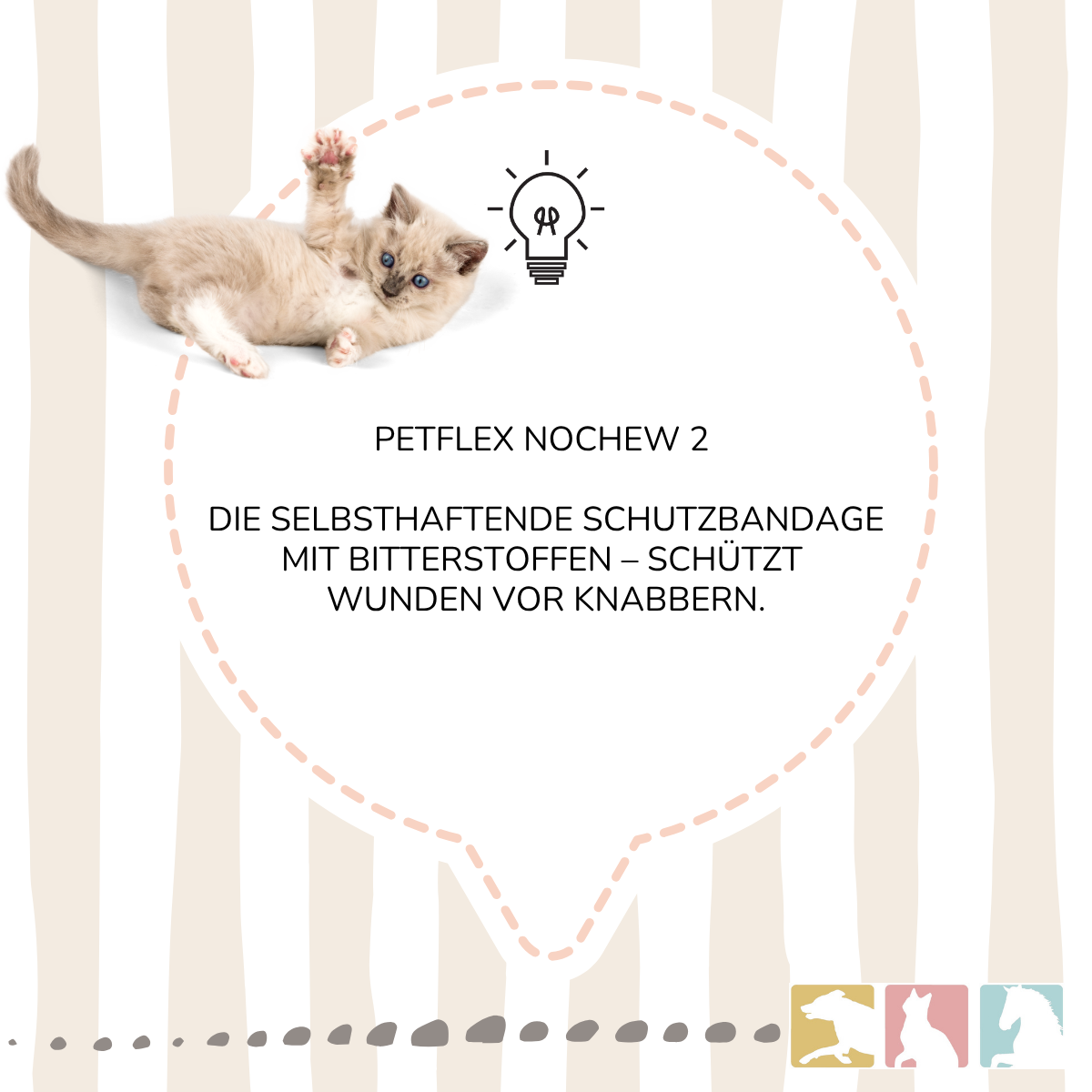 PetFlex NoChew 2"