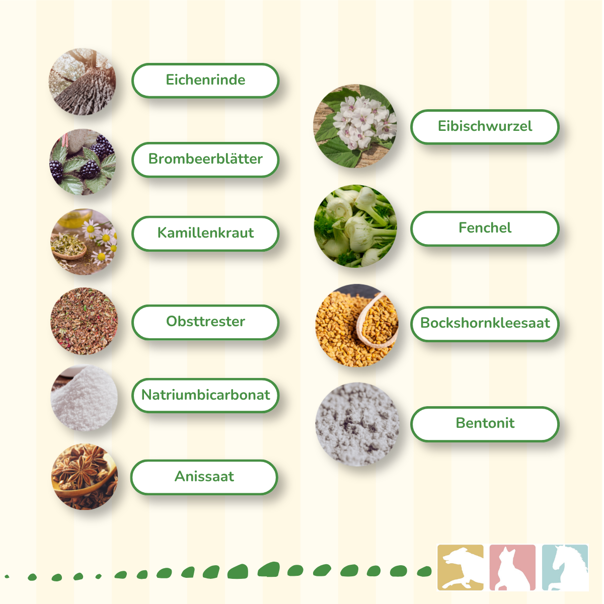 CaniMove enteral akut