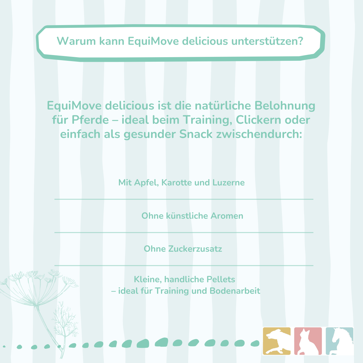 EquiMove delicious