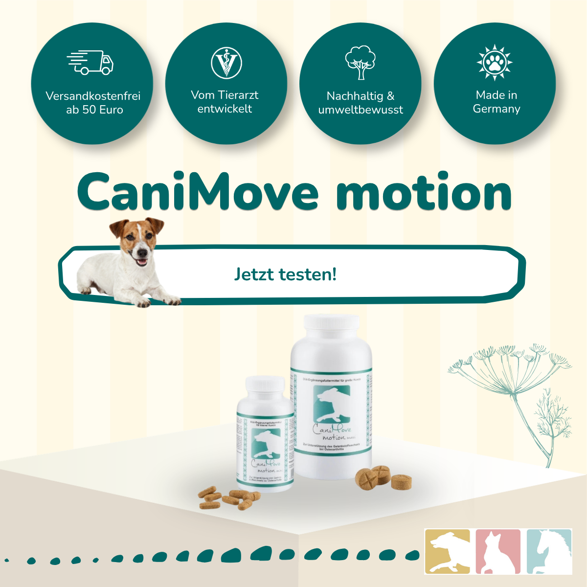 CaniMove motion