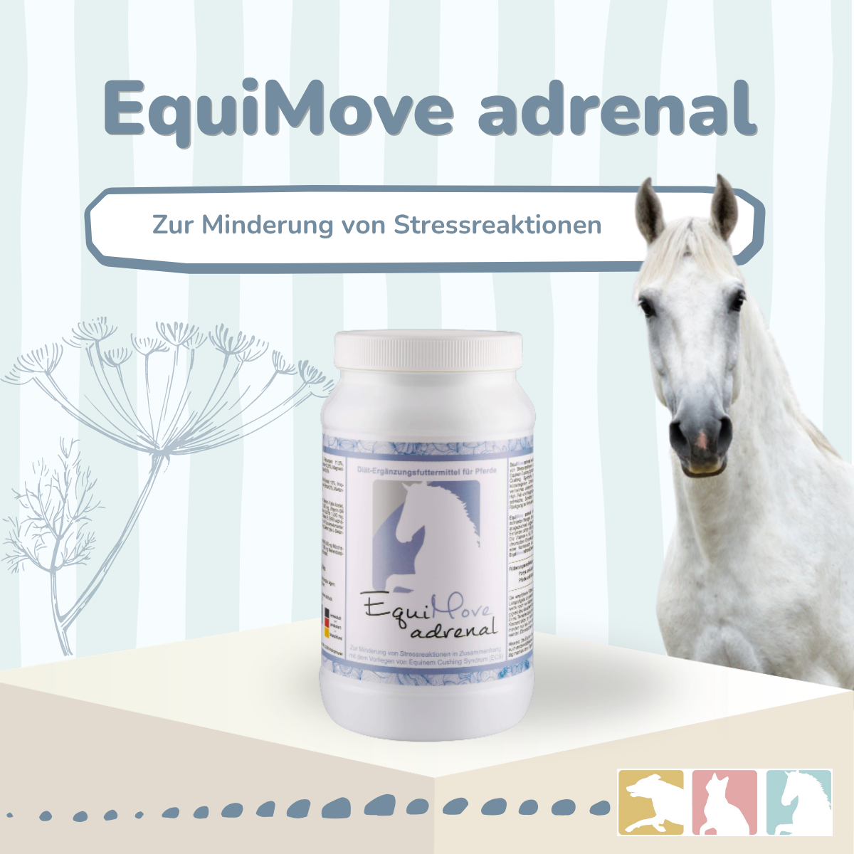 EquiMove adrenal