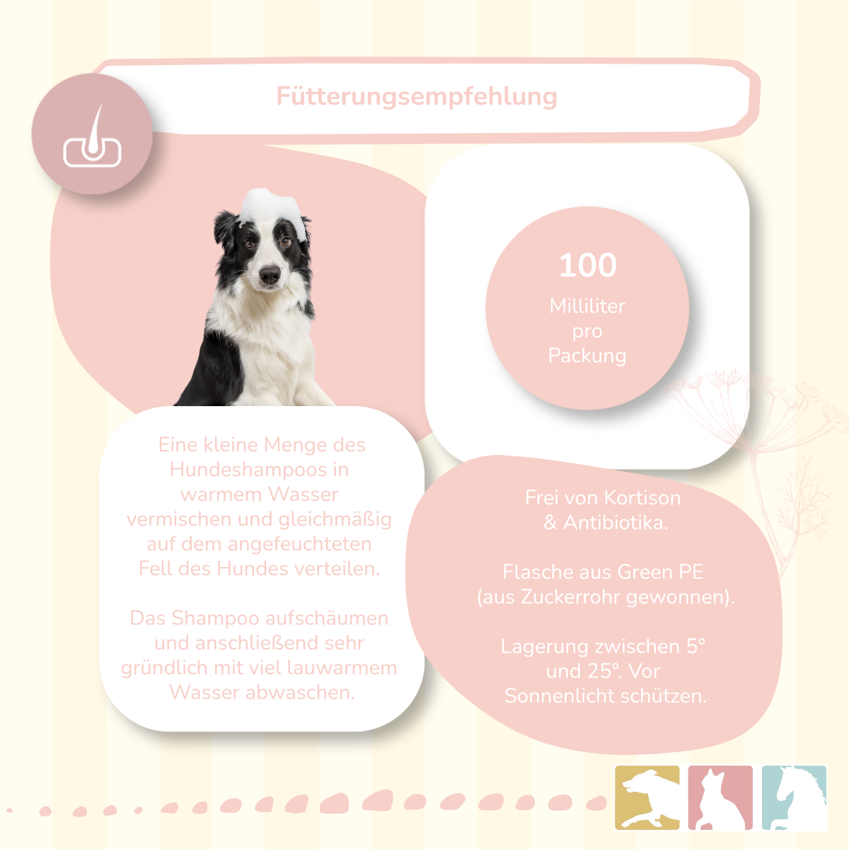 Hundeshampoo