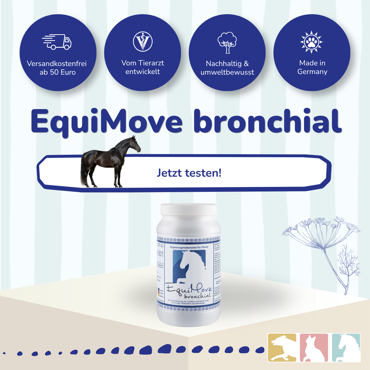 EquiMove bronchial