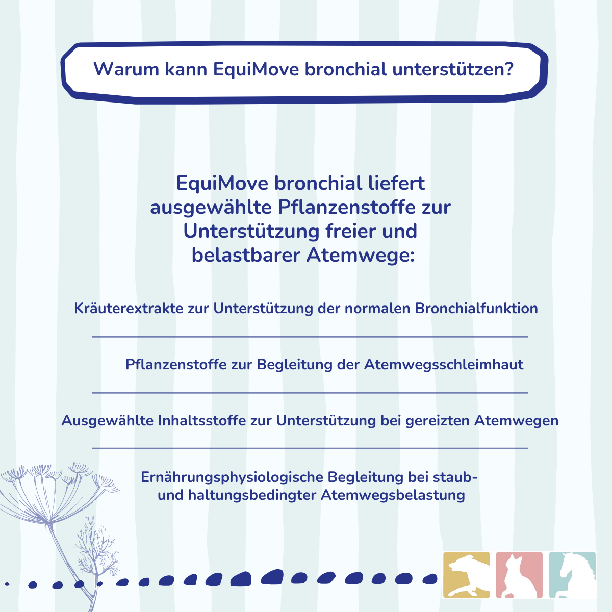 EquiMove bronchial