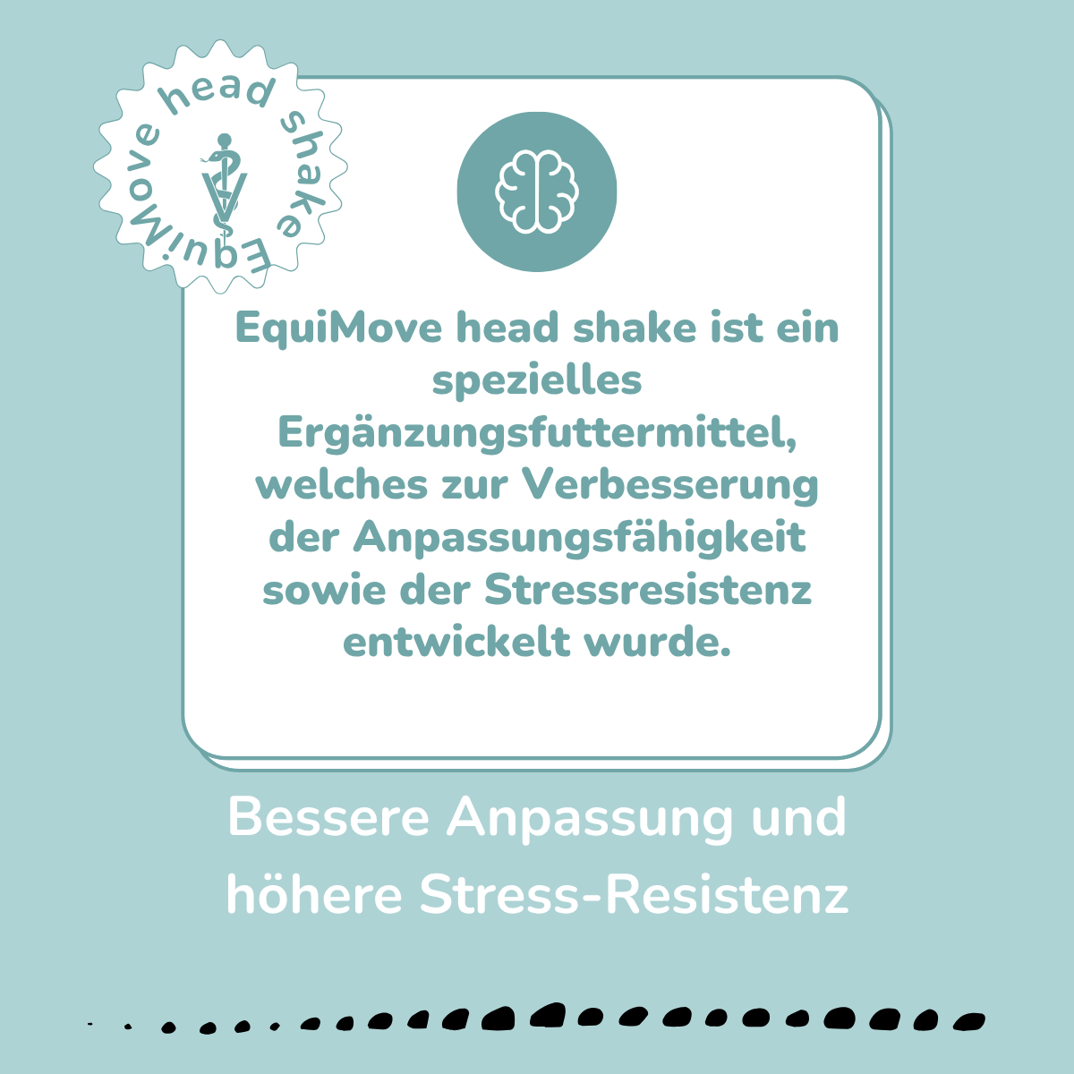 EquiMove head shake