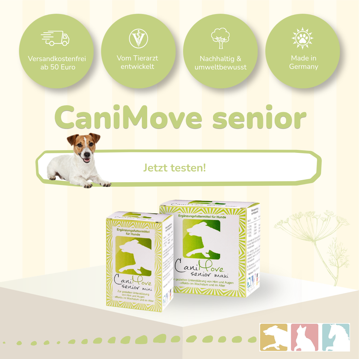 CaniMove senior