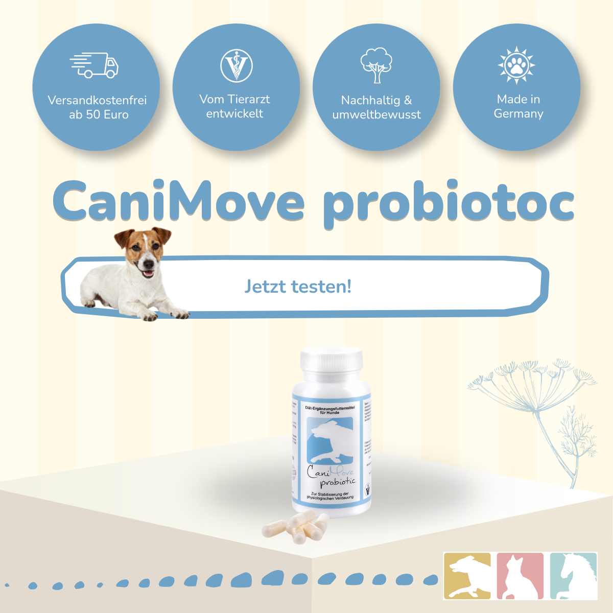 CaniMove probiotic