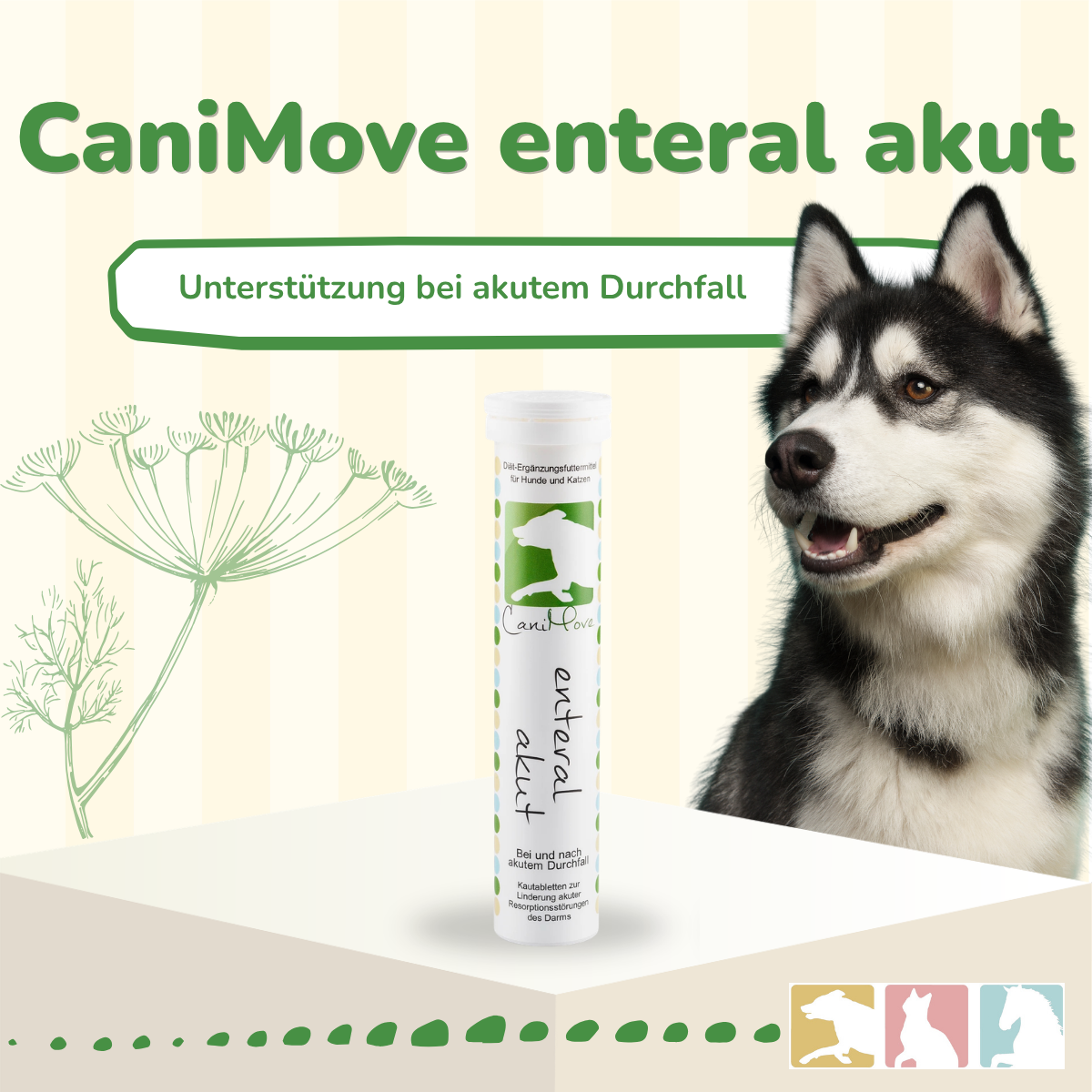 CaniMove enteral akut