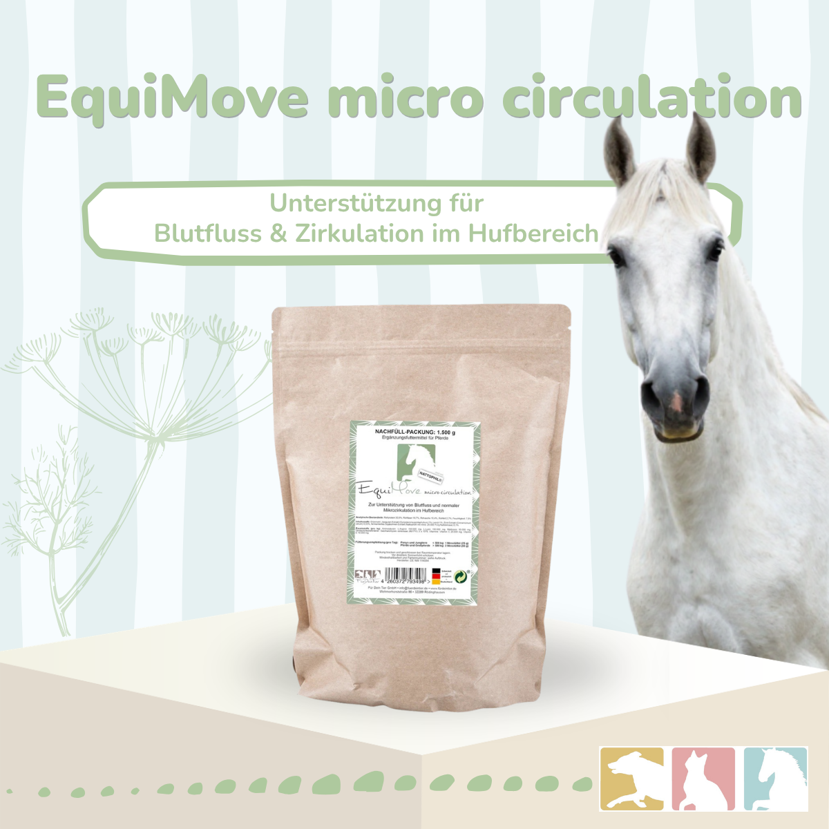 EquiMove micro circulation