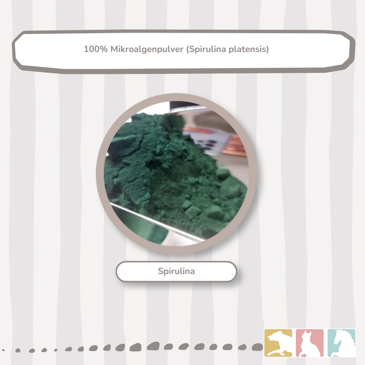 Spirulina