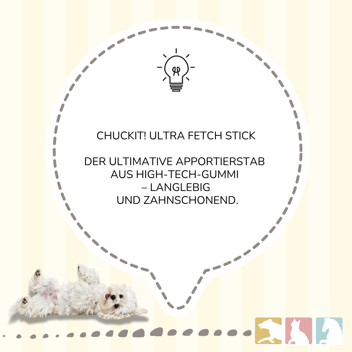 Chuckit! Ultra Fetch Stick