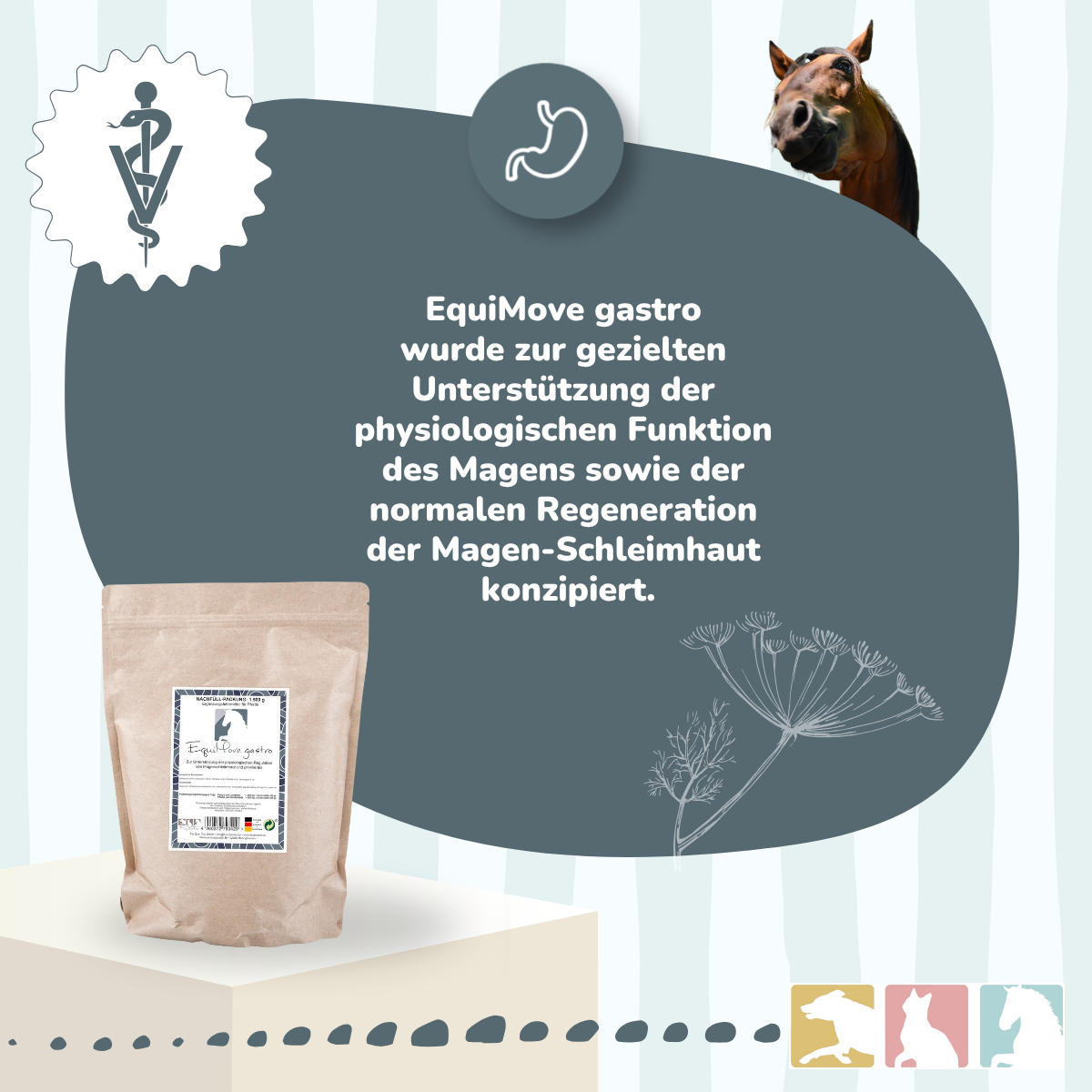 EquiMove gastro