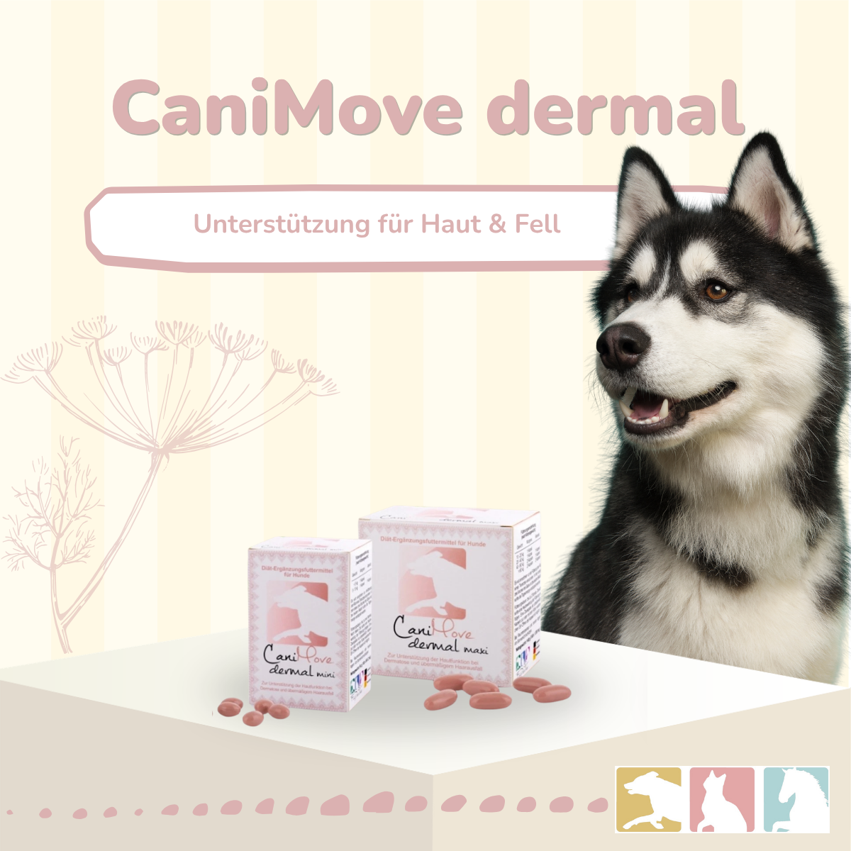 CaniMove dermal