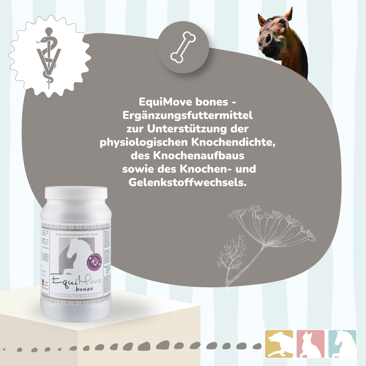 EquiMove bones