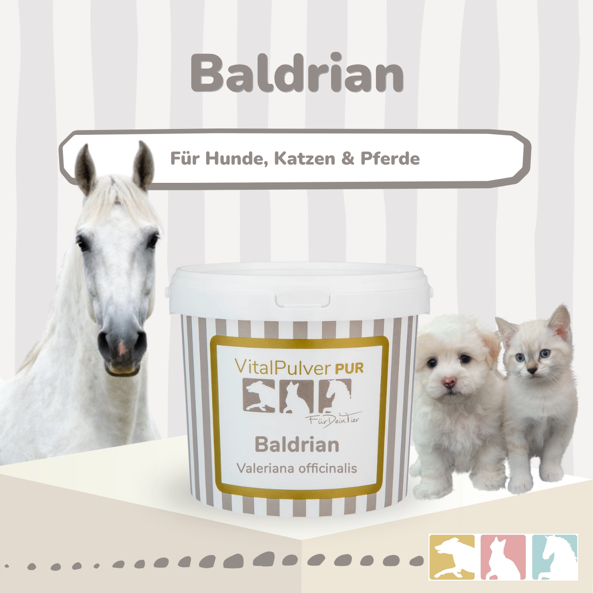 Baldrian (konz.)