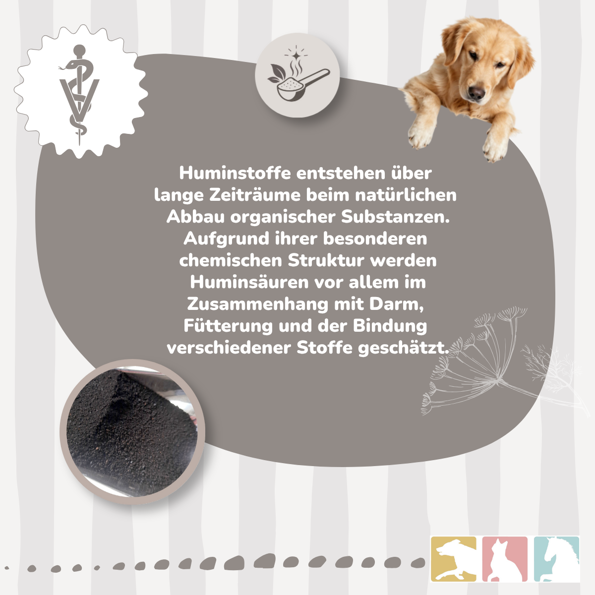 Huminsäure