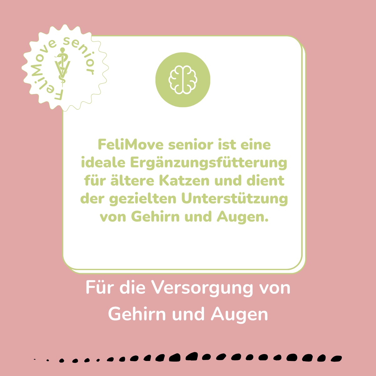 FeliMove senior