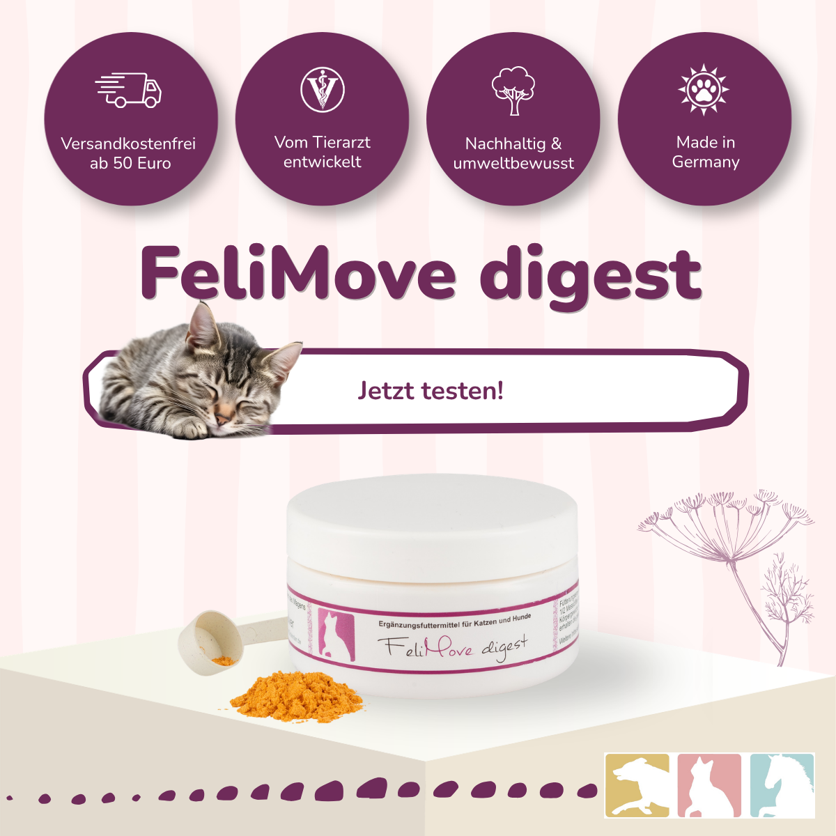 FeliMove digest