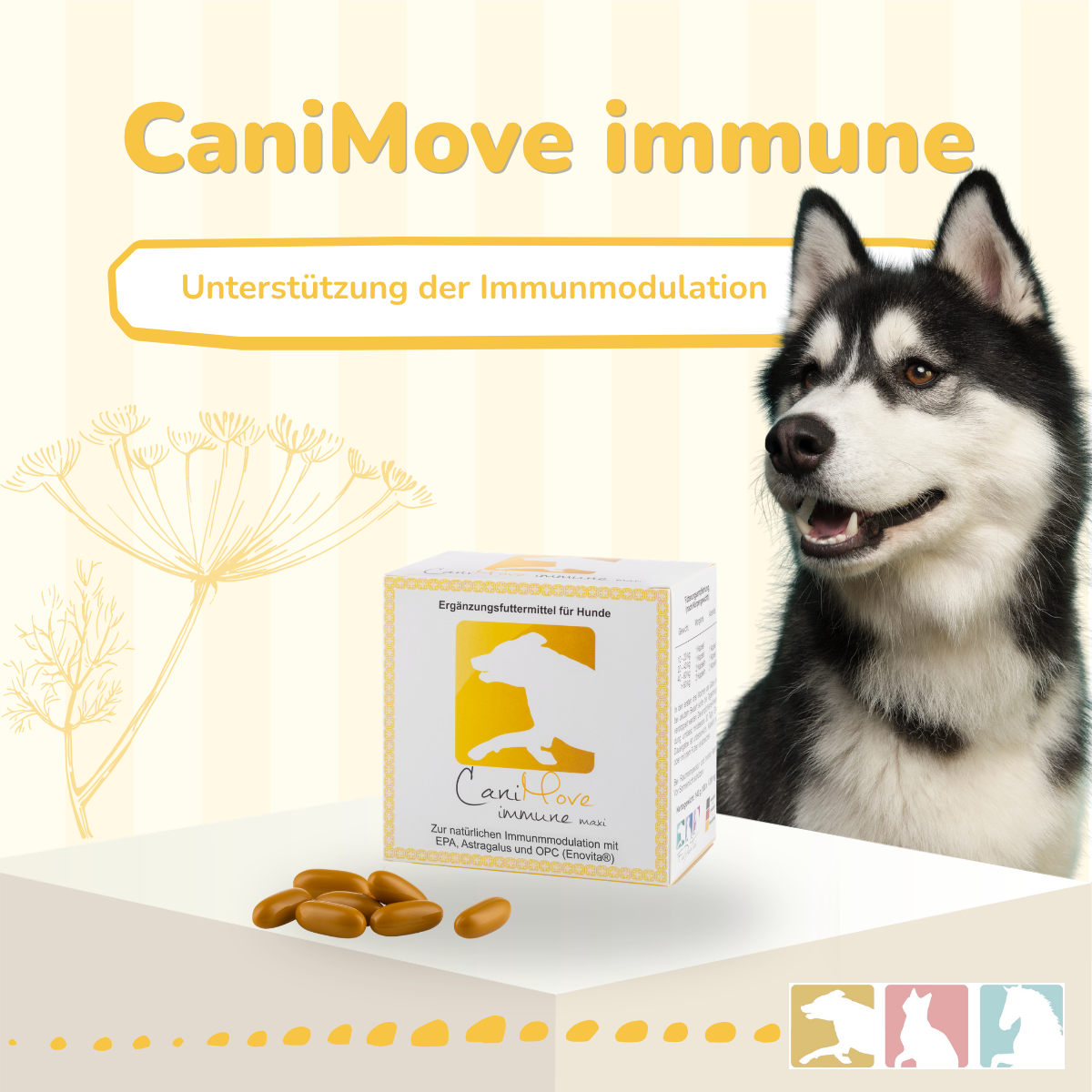 CaniMove immune