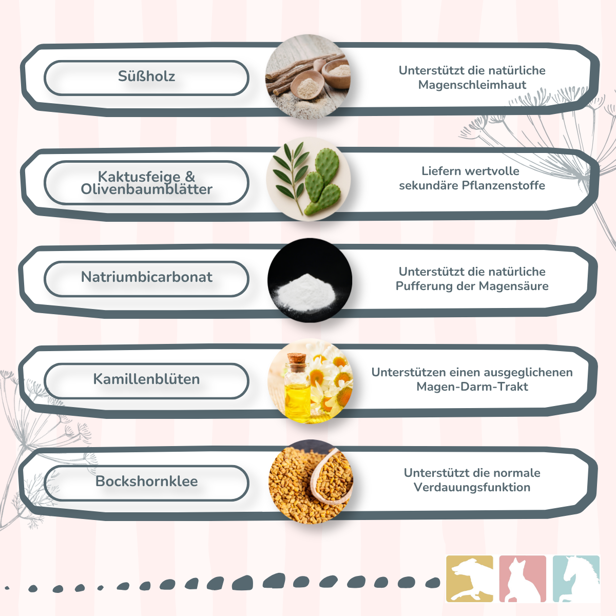FeliMove gastro