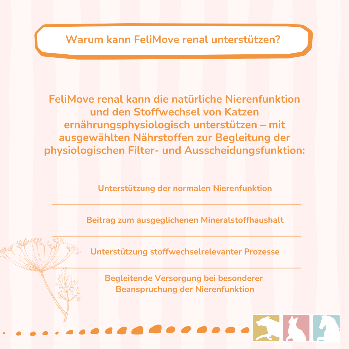 FeliMove renal