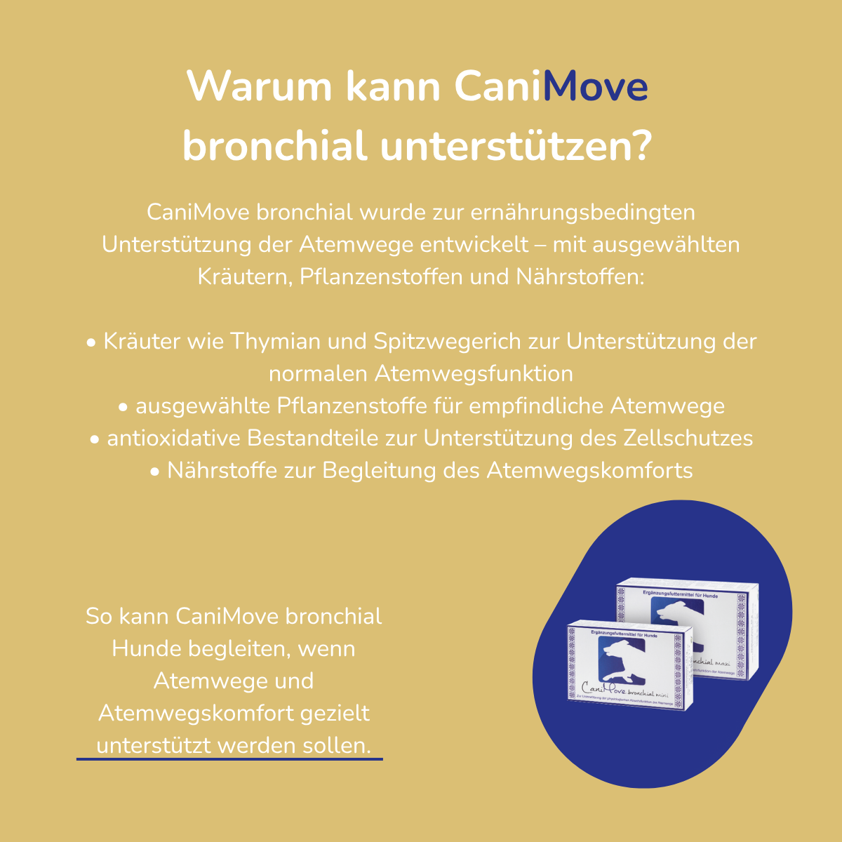 CaniMove bronchial