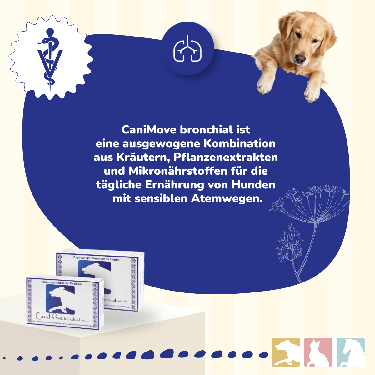CaniMove bronchial