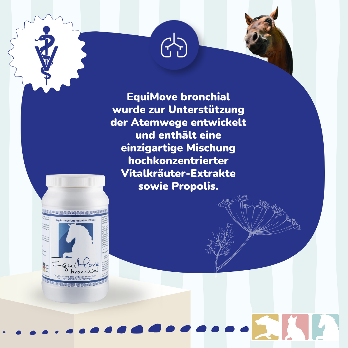 EquiMove bronchial