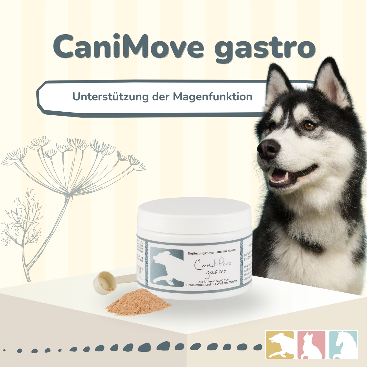 CaniMove gastro