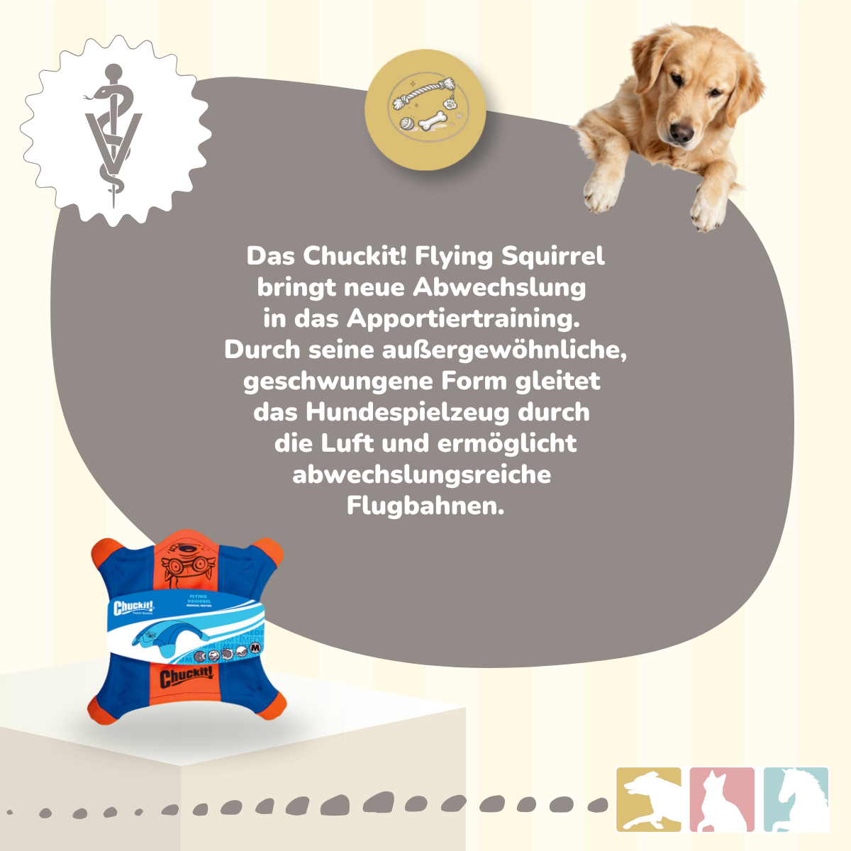 Chuckit! Flying Squirrel (Frisbee)