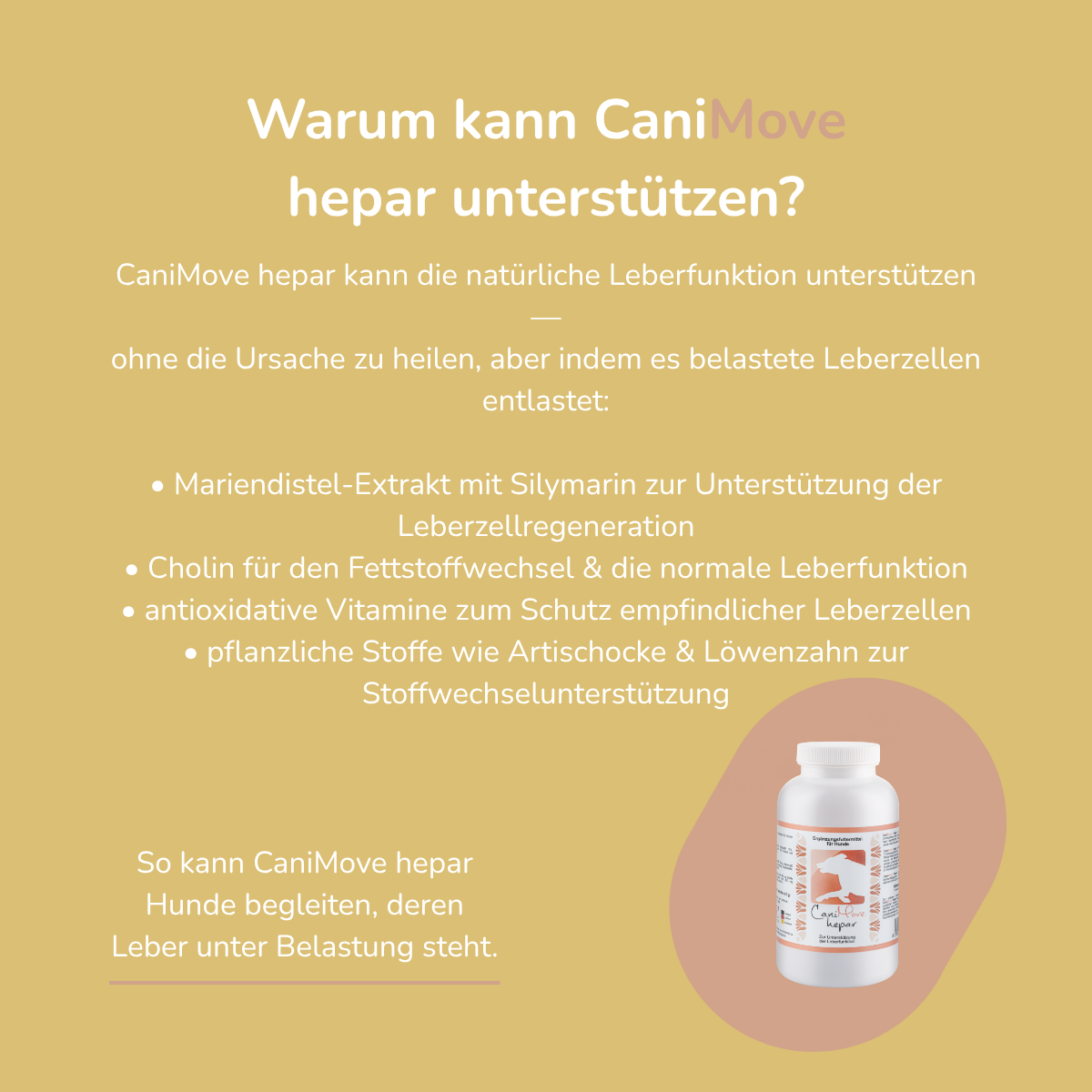 CaniMove hepar