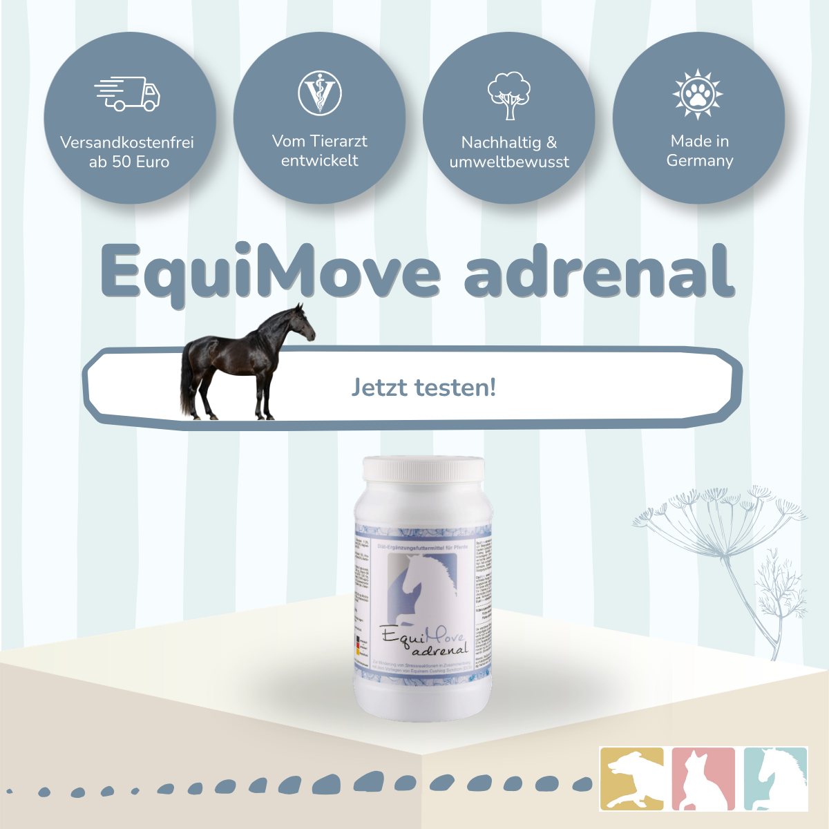 EquiMove adrenal