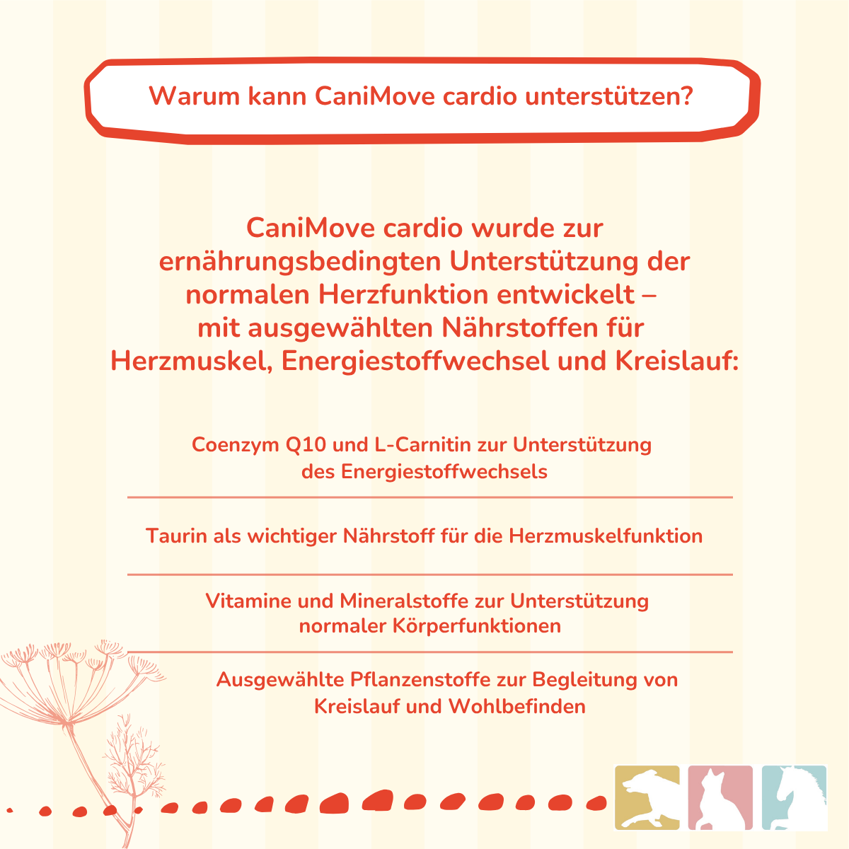 CaniMove cardio