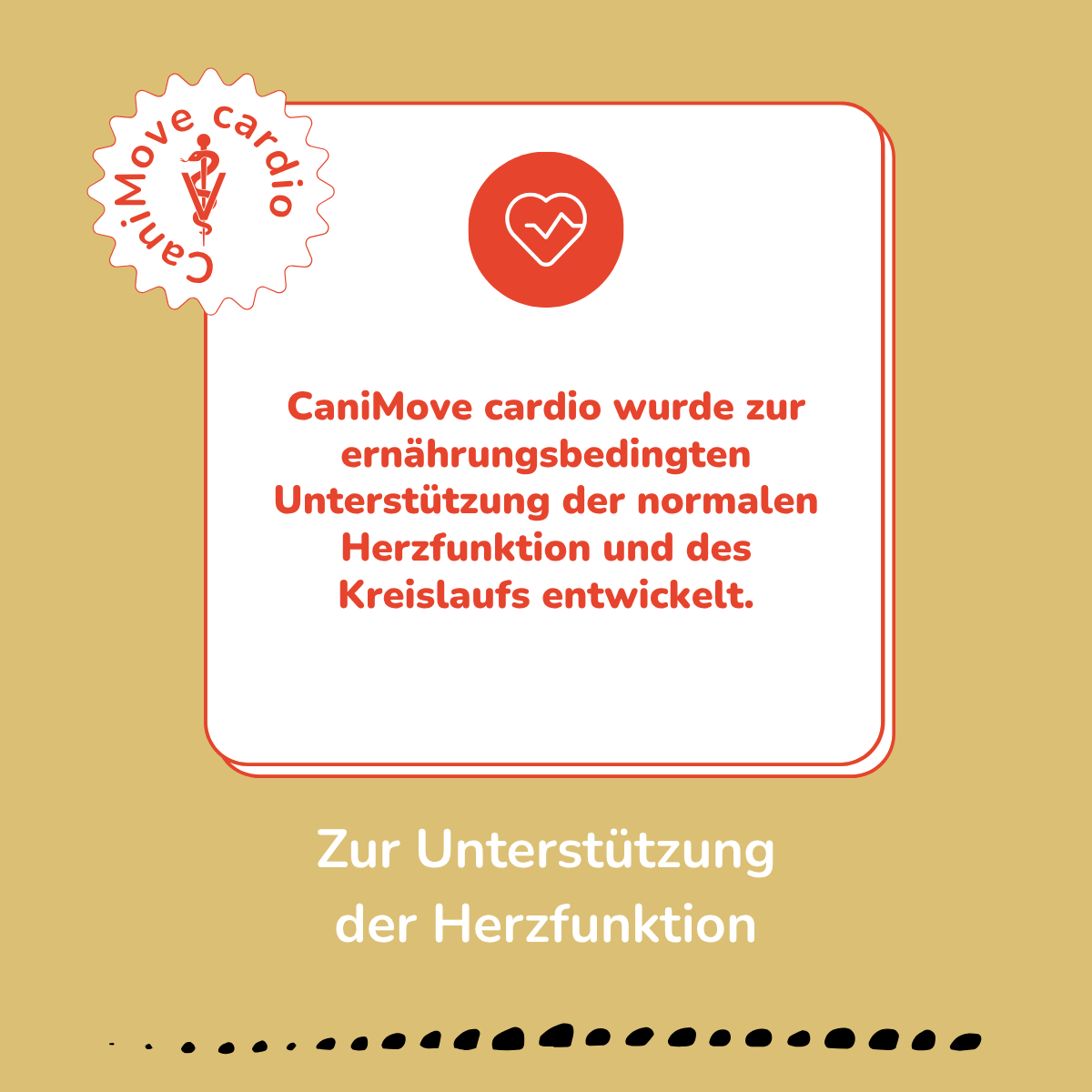 CaniMove cardio