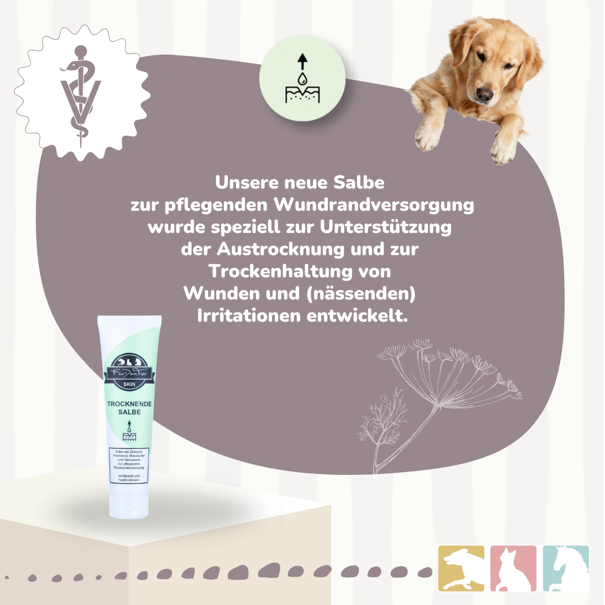 Wundschutz Salbe (trocknend)