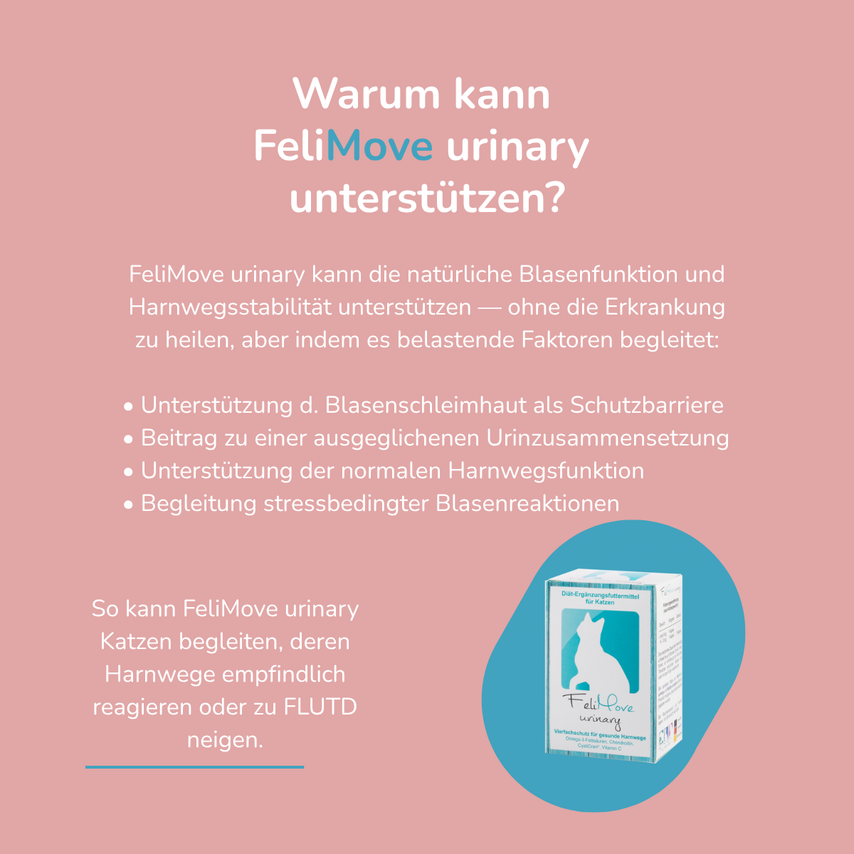 FeliMove urinary