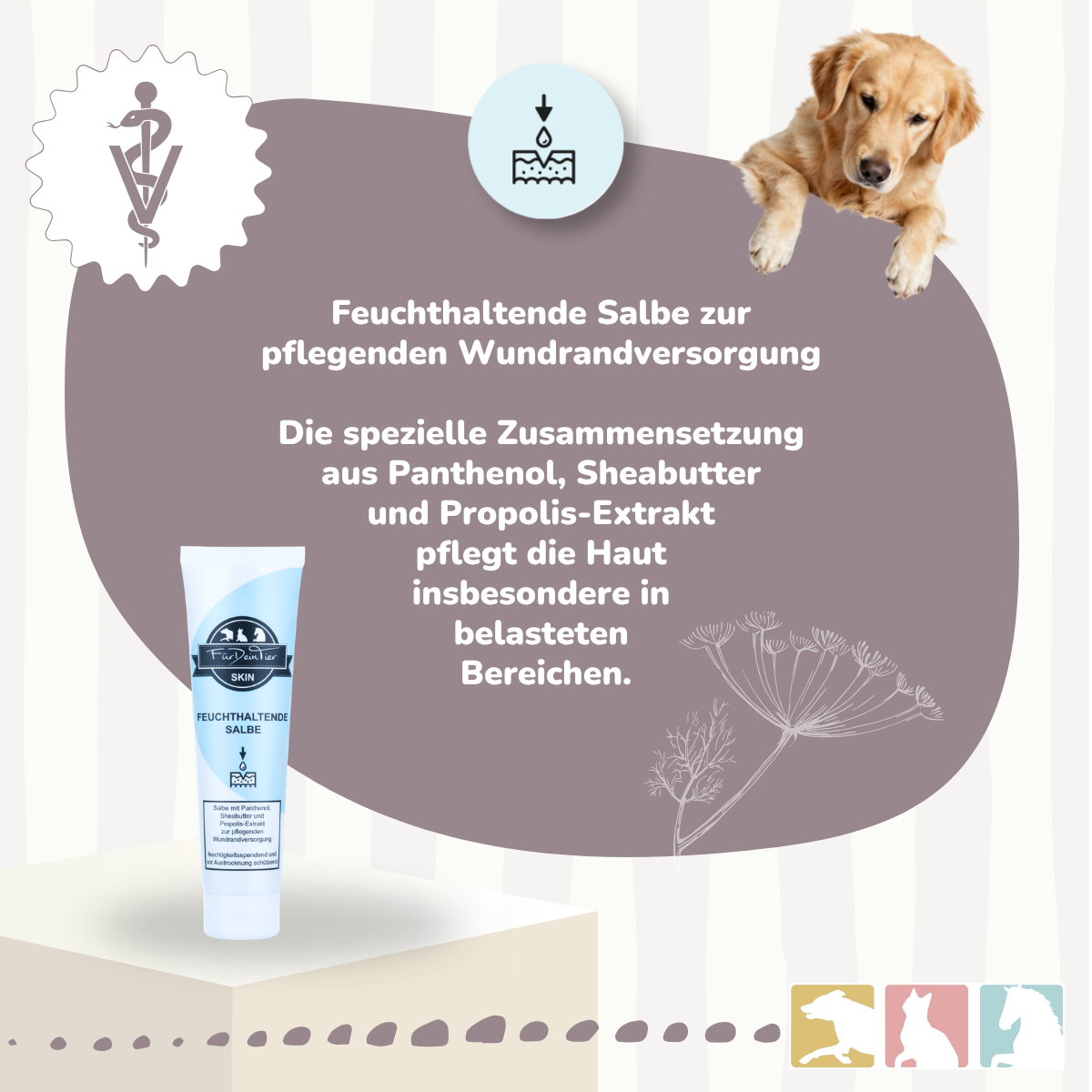 Wundschutz Salbe (feuchthaltend)