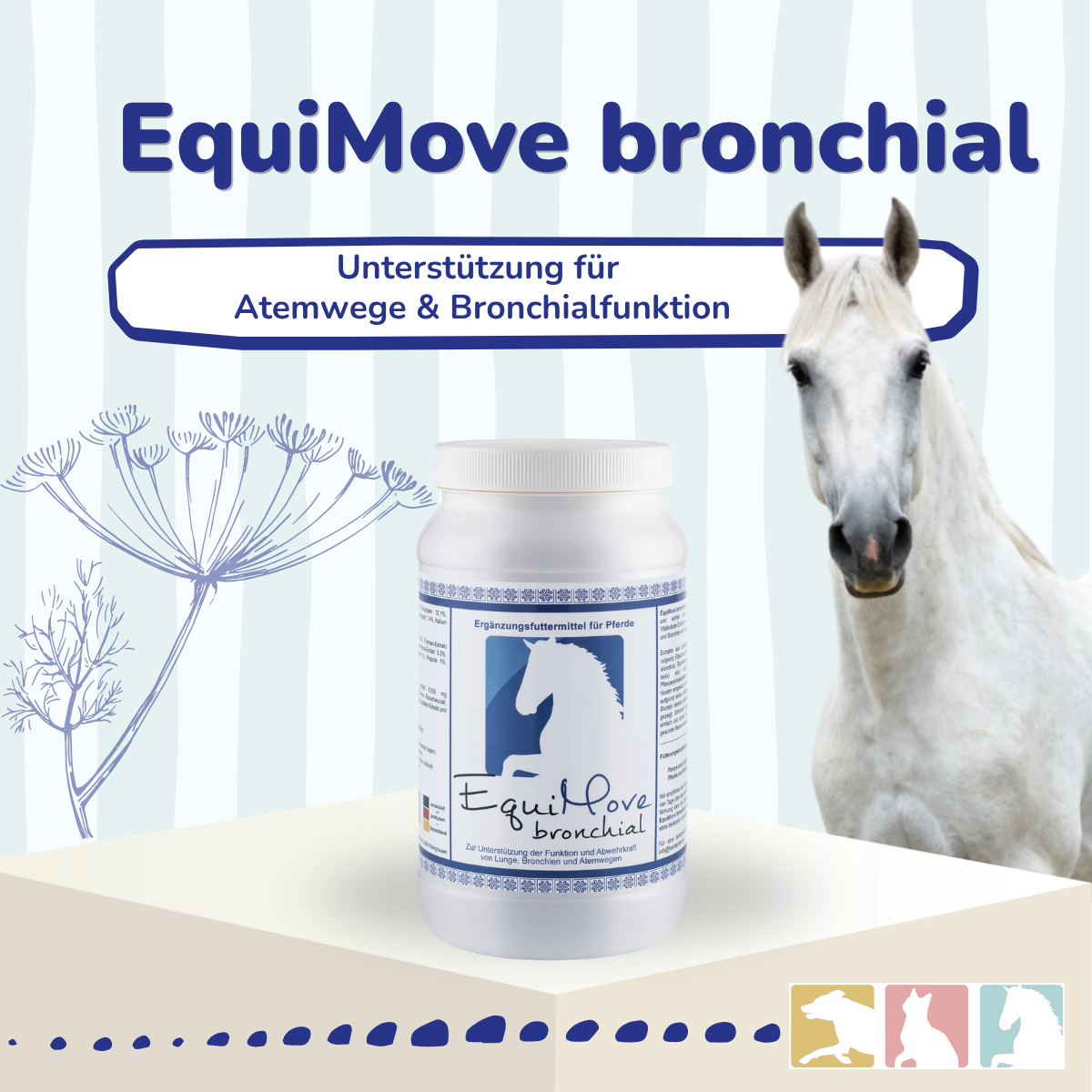EquiMove bronchial