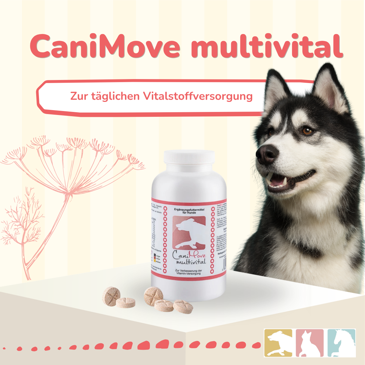 CaniMove multivital